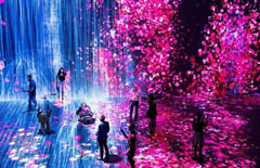 2020ˇg(sh)չ[O(sh)Ӌ_Ļ